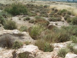 Cerro de la Almagra 2004
